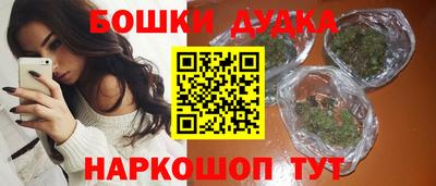 крисы Кандалакша